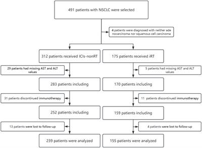 The AST/ALT ratio predicts survival and improves oncological therapy decisions in patients with non-small cell lung cancer receiving immunotherapy with or without radiotherapy